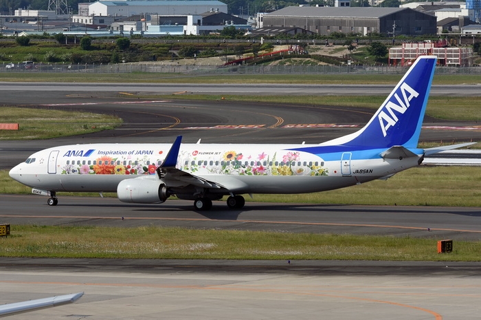 1:400 ANA B737-800